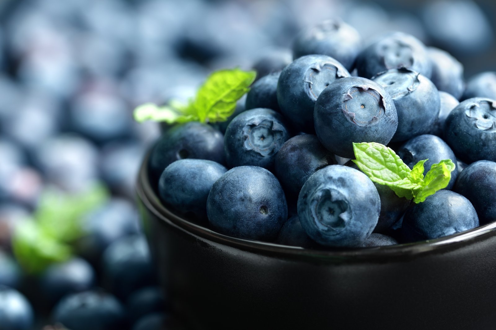 blue berry.jpeg