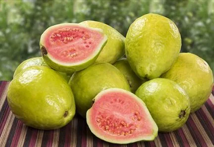 guava.webp